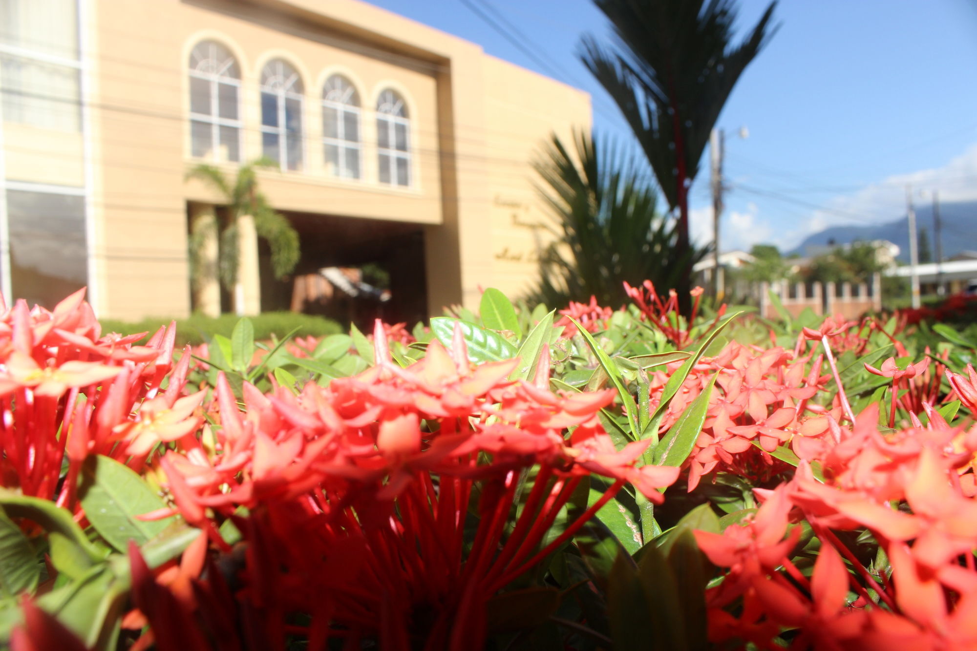 Hotel La Quinta La Ceiba Zewnętrze zdjęcie